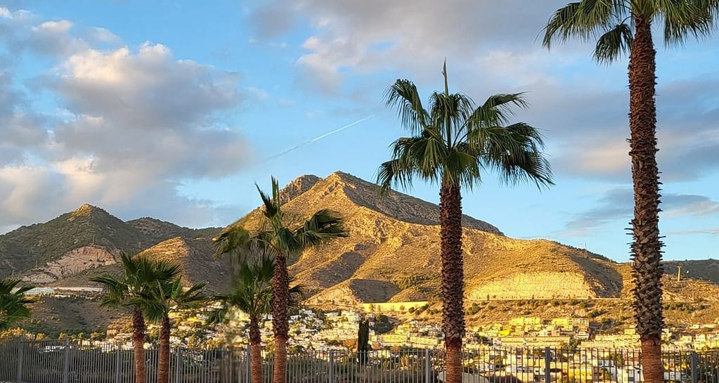 Palms trees and sunlit mountains: a sight of scenic beauty making Benalmadena among best places to live in Spain by the sea