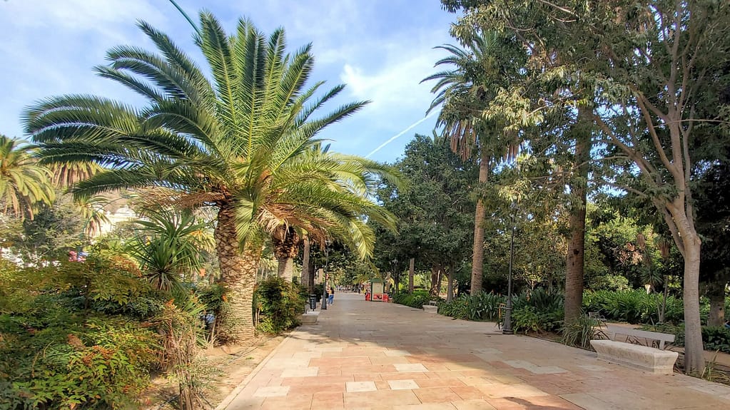 Treelined pathway in Malaga's famous botanical nature park near seaport