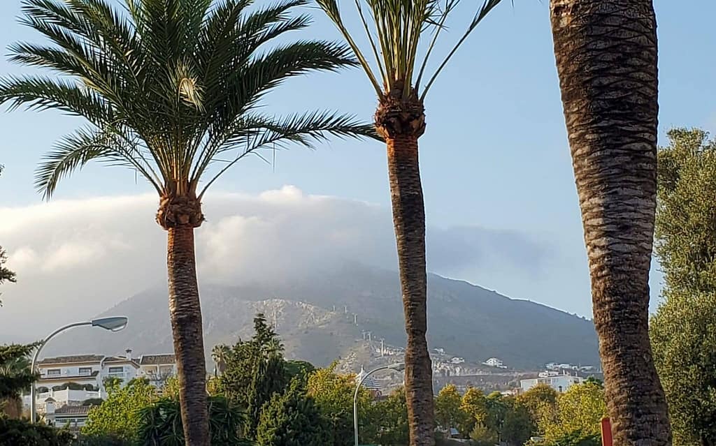 A view through palm trees of Benalmadena's highest mountain in contact with a white cloud