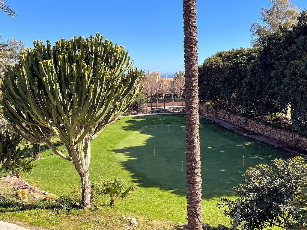 A large cactus tree flanking a green in Benalmadena Golf academy